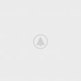 wood-gallery-placeholder-4 wood-gallery-placeholder-4